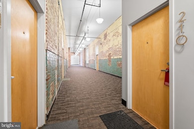 Lovejoy Lofts unit 210, Washington, DC 20002 - photo 3