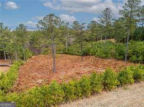 238 the Cove at Thirteen Hundred unit LOT 238, Blairsville, GA 30512 - photo 6