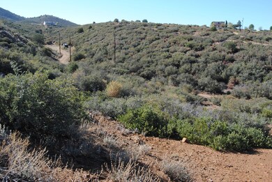 03 From Property looking South