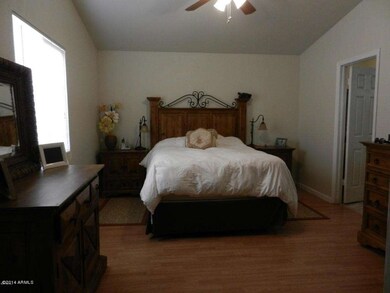 hackamore5