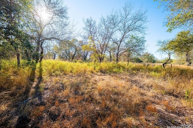 21270 Priest Rd, Elmendorf, TX 78112 - photo 4