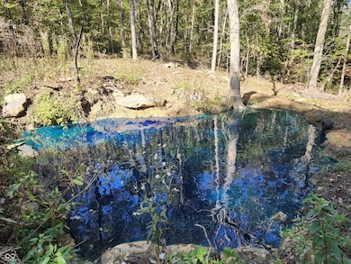 0 Leopold Oriole Rd, Leopold, IN 47551 - photo 4