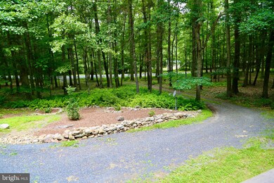 4676 Thorne Bottom Rd, Lost City, WV 26810 - photo 4