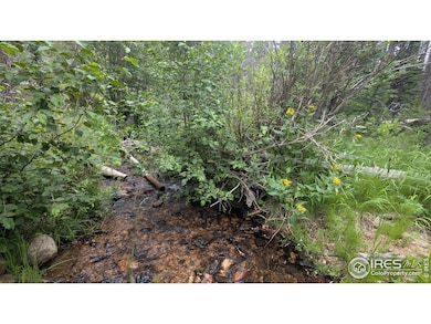 Pearl Creek - Good sized creek