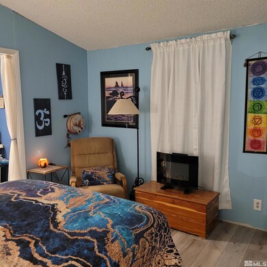 4184 Dori Dr, Winnemucca, NV 89445 - photo 6