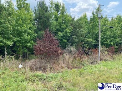 Lot 1-C Daniels Ln, Bennettsville, SC 29512 - photo 7