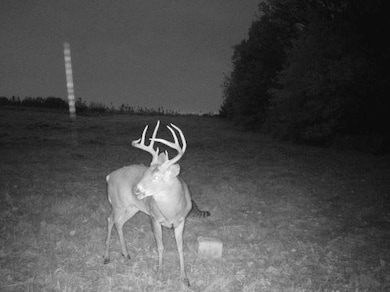 000 C Hwy, Albany, MO 64402 - photo 2