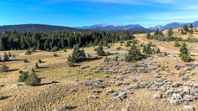 NHN LOT 45A PHASE 3 Pintler View Rd unit Lot 45A, Deer Lodge, MT 59722 - photo 5