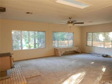 Large Living room with Big Windows & Skylight 