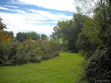 Land