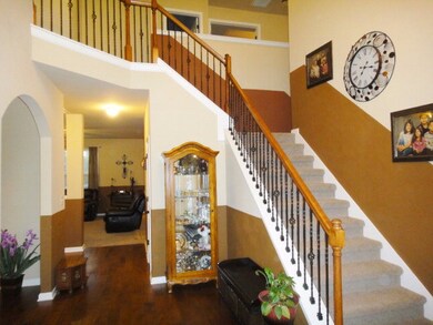 Entry Stairs