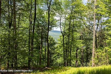 2 Red Rock Rd, Wawarsing, NY 12489 - photo 3