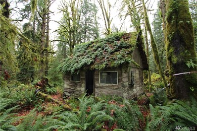 21104 Lake Riley Rd, Arlington, WA 98223 - photo 3