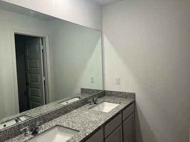 Double Sinks in Primary Bathroom