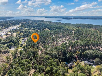 0 Pintail Lot 3, Flint, TX 75762 - photo 6