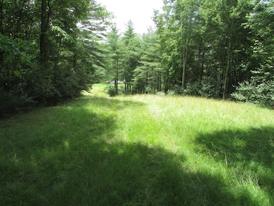 000 Rock House Rd, Lester, WV 25865 - photo 3