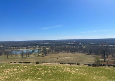 105 Opal Ln, Horseshoe Bend, AR 72512 - photo 2