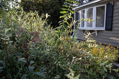 41 Bradford St, Warren, RI 02885 - photo 3