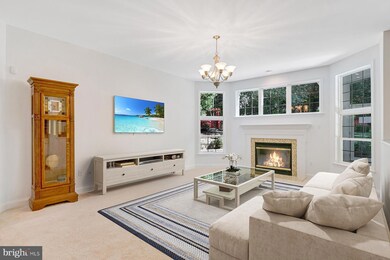 1955 Severn Grove Rd, Annapolis, MD 21401 - photo 6