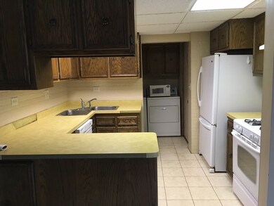 271 W 1st St, Elmhurst, IL 60126 - photo 6