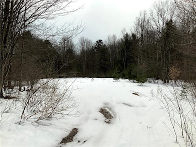 0 State Route 13 unit S1313433, Albion, NY 13302 - photo 3