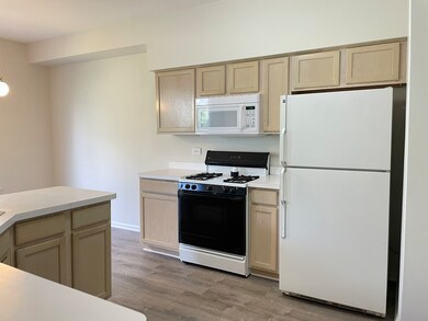1535 Spaulding Rd unit 463, Bartlett, IL 60103 - photo 7