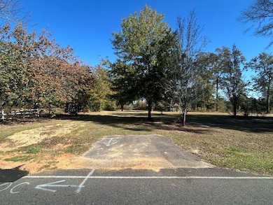 816 N Broad St, Cowarts, AL 36321 - photo 5