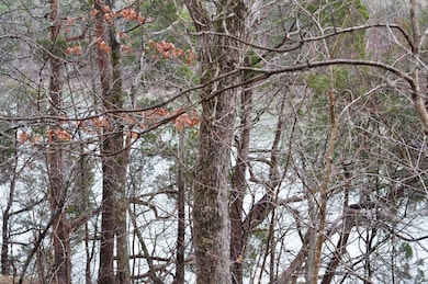 Lot 35 1 Pl Coyler Rd, Somerset, KY 42503 - photo 5