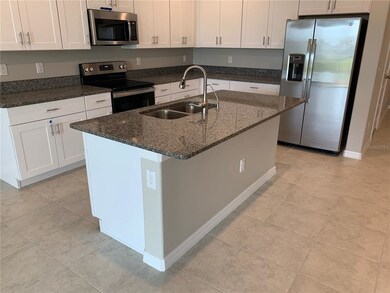 32009 Blue Passing Loop, Wesley Chapel, FL 33545 - photo 7