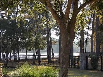 27710 Braydon Ct, Spring, TX 77386 - photo 3