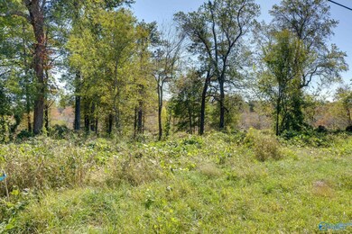 142 Easy St, Hazel Green, AL 35750 - photo 4