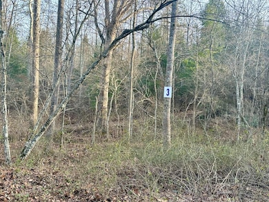 Lot 3 Radford Rd, East Bernstadt, KY 40729 - photo 3