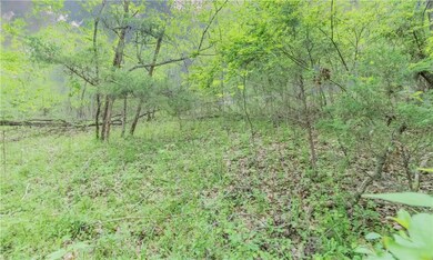 0 Allen Dr, Township 2, AR 72745 - photo 5