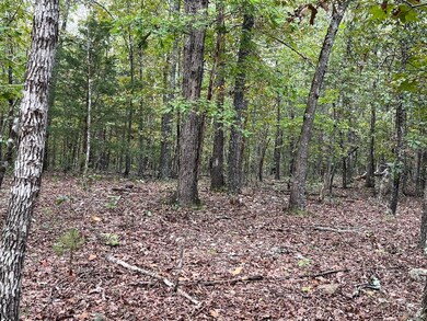Land for Sale in Fulton County3