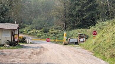 0 Mount Index Dr unit NWM2436664, Index, WA 98256 - photo 6