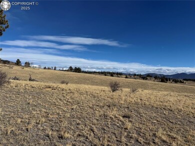 381 Remington Rd, Jefferson, CO 80456 - photo 7