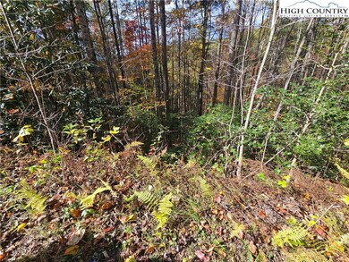 TBD Bent Bow Dr, Lenoir, NC 28645 - photo 7