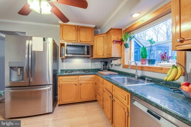 307 Sacred Heart Ln, Reisterstown, MD 21136 - photo 5