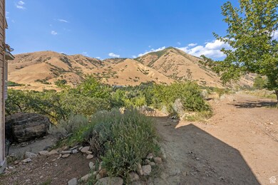 25 Quiet Meadow Ln, Mapleton, UT 84664 - photo 6