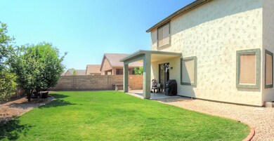 Backyard 2 (6)