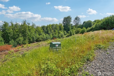 1830 Hazel Dell Rd unit Lot 3, Castle Rock, WA 98611 - photo 3