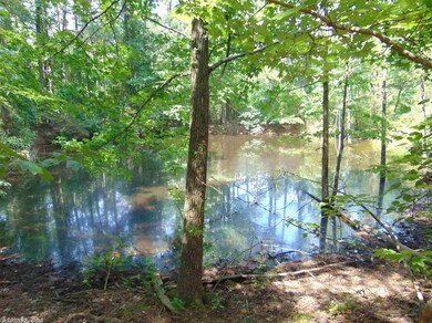 Lot 2 A Old Highway 25, Tumbling Shoals, AR 72581 - photo 4