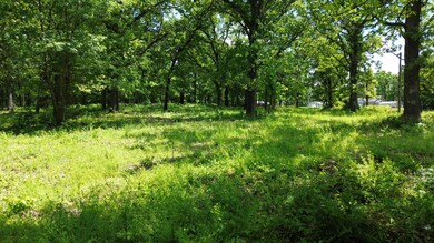 2609 Lake Rd 3, Grove, OK 74344 - photo 5