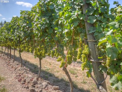 6975 NE Abbey Rd, Carlton, OR 97111 - photo 3