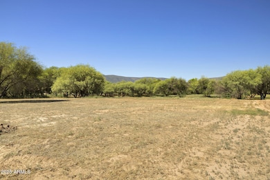 36-web-or-mls-FA9A8857