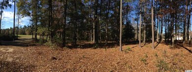 Lot 15 Bantry Ln, Conway, SC 29526 - photo 2