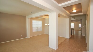 3806 Sweet Olive, San Antonio, TX 78261 - photo 5