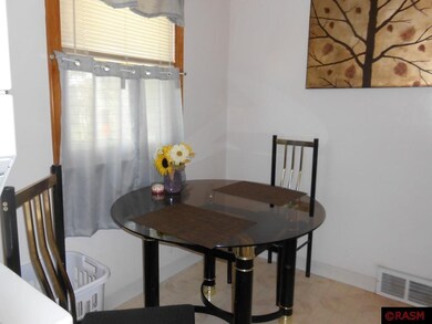 419 N Franklin St, New Ulm, MN 56073 - photo 3