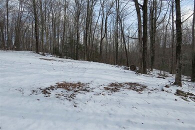 0 Bailey Hill Rd, Readsboro, VT 05350 - photo 2