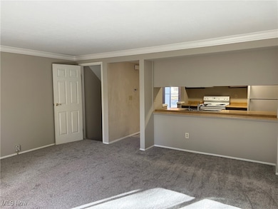 3869 Lake Run Blvd, Stow, OH 44224 - photo 7